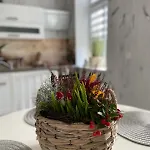 In Apartament Erfurt