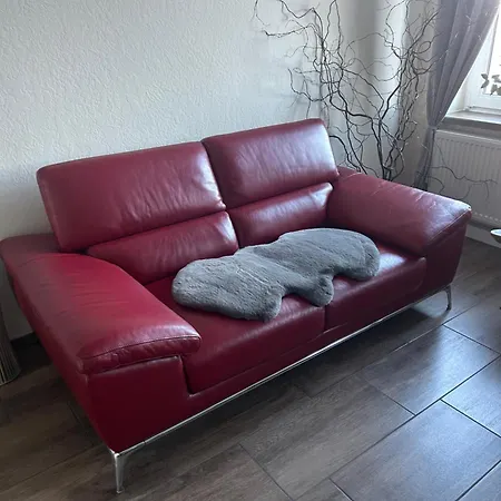 In *