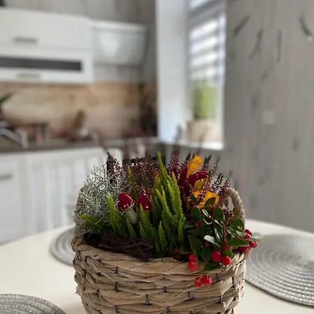In Apartmán Erfurt